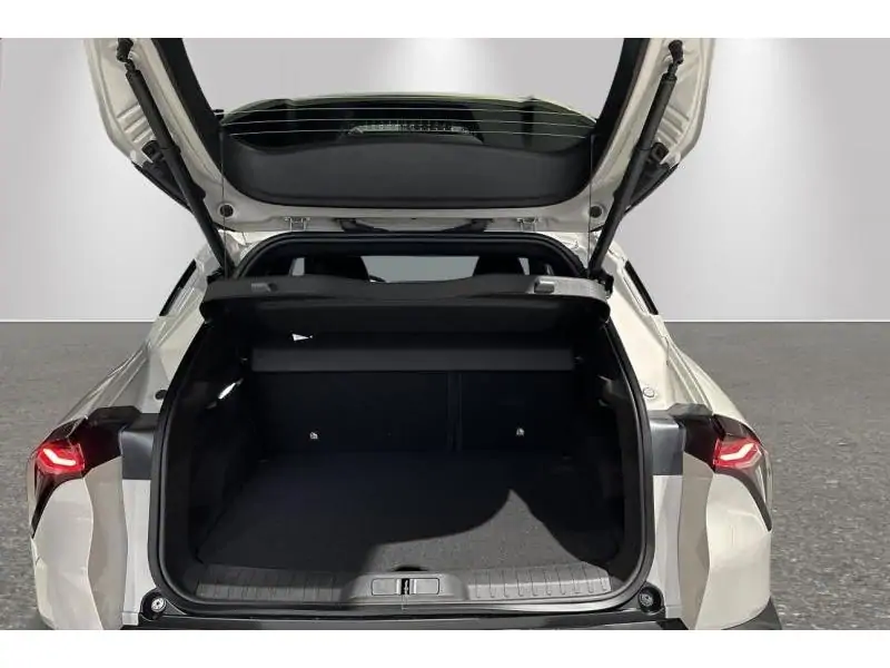 VEHICLE__CONDITION_SERVICE Alfa Romeo Junior Ibrida My25 Speciale 1.2 Hybrid 145 Edct6 BEIGE 19