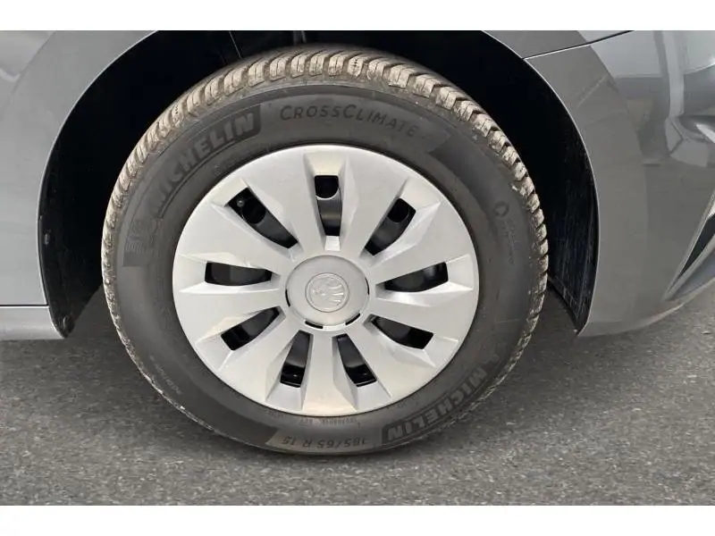 Occasion Skoda Fabia Selection GREY 22