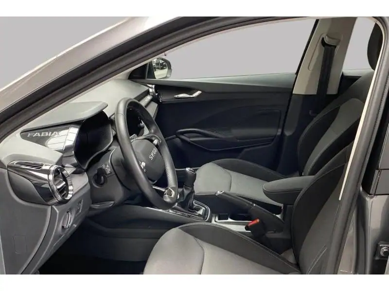 Occasion Skoda Fabia Selection GREY 10