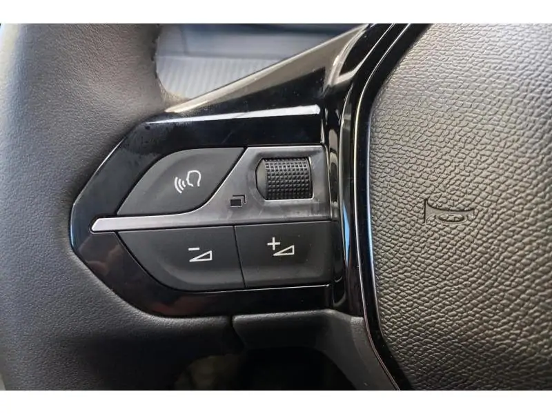 VEHICLE__CONDITION_SERVICE Peugeot 2008 ALLURE WHITE 21