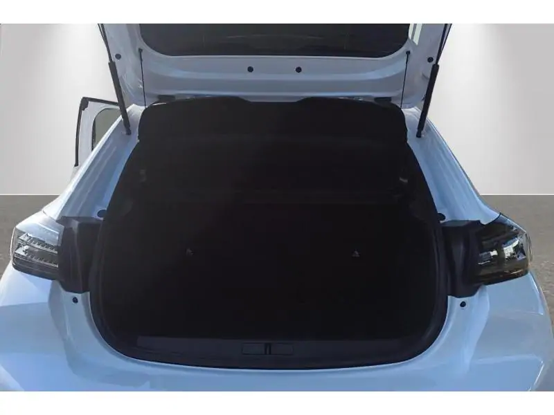 VEHICLE__CONDITION_SERVICE Peugeot 208 II and e- GT Line WHITE 19