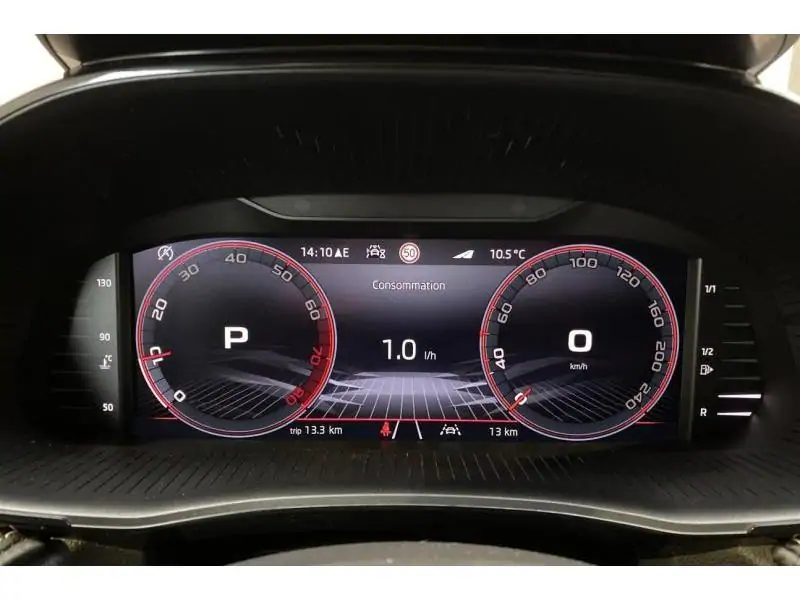 Occasion Skoda Fabia Monte Carlo GREY 25