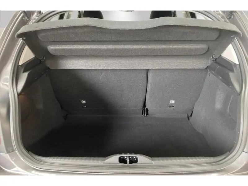 Occasion Citroen C3 MAX 110 pk GREY 19