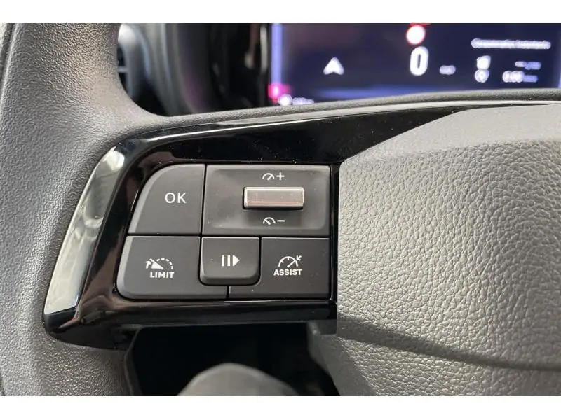 VEHICLE__CONDITION_SERVICE Fiat Doblo VAN L1 LIGHT WHITE 21