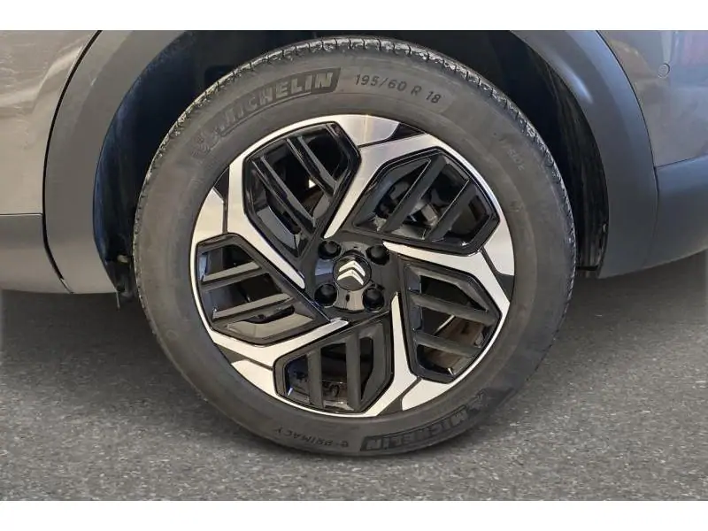 Occasion Citroen C4 Max GREY 20