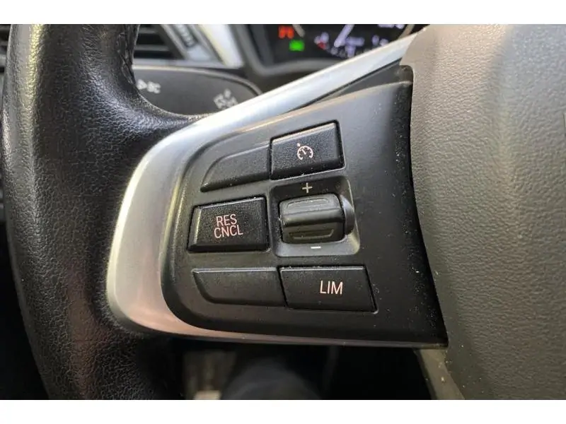 Occasion BMW Serie X X1 sDrive16d BLACK 24