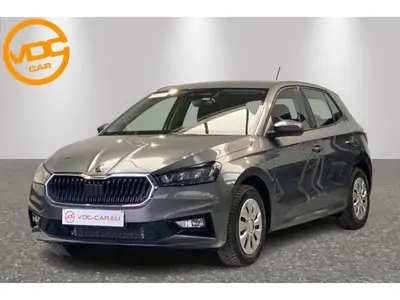 Occasie Skoda Fabia Selection GREY