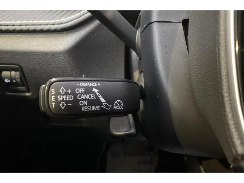 Occasion Skoda Fabia Monte Carlo BLACK 25