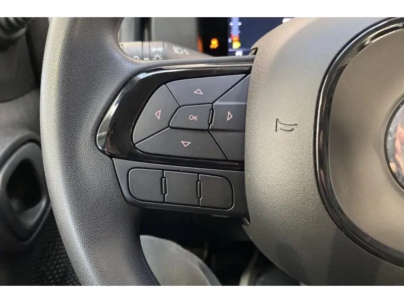 Démo Fiat Panda **0 km** BLACK 13