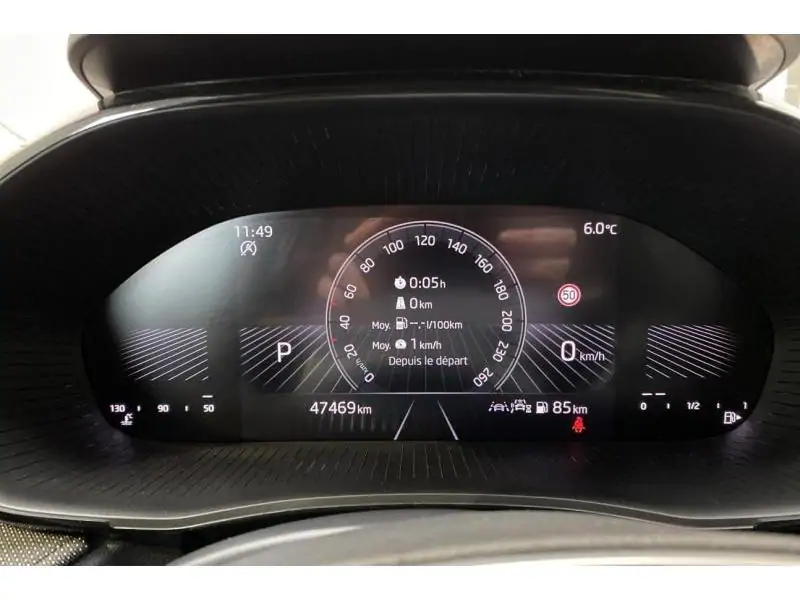 Occasion Skoda Fabia Selection GREY 25