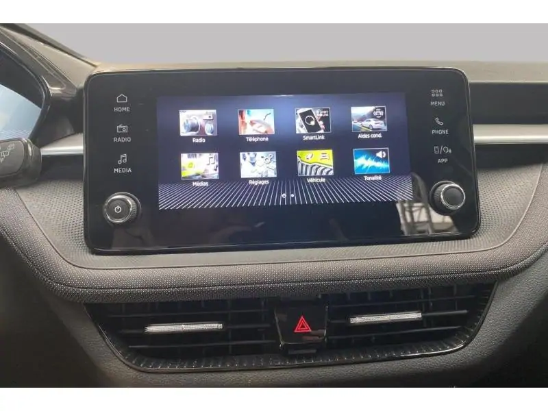 Occasion Skoda Fabia Selection GREY 13