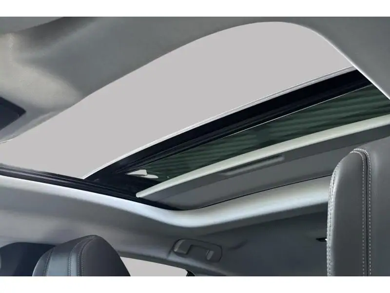 Occasion DS Automobiles DS 4 Performance Line+ - Pano - 225 PK WHITE 40