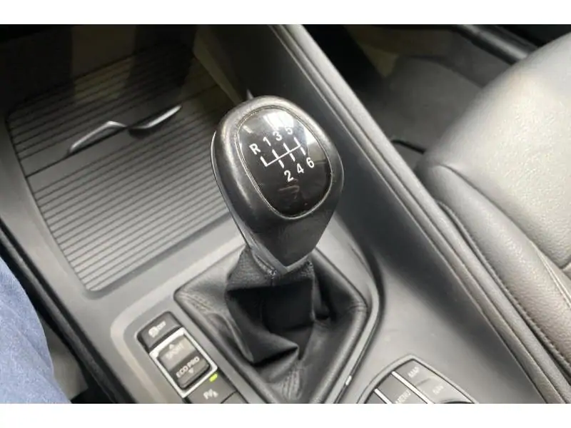 Occasion BMW Serie X X1 sDrive16d BLUE 16