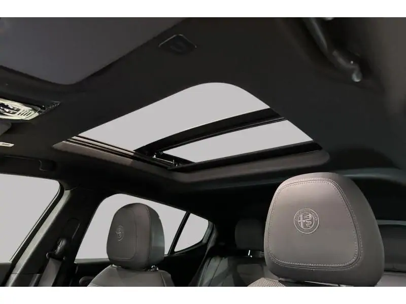 VEHICLE__CONDITION_SERVICE Alfa Romeo Tonale Ibrida Hybrid 160 Sprint BLACK 27
