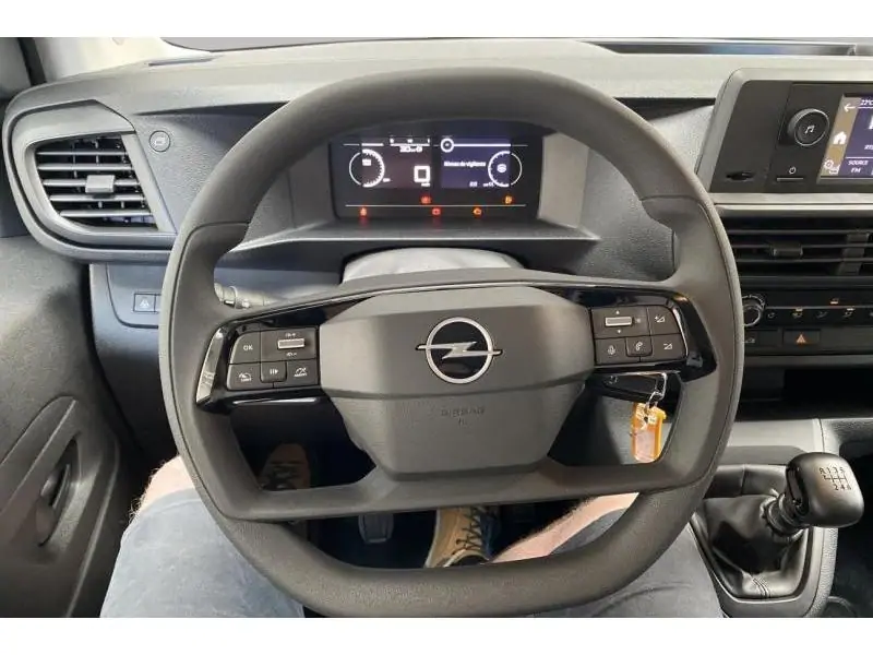 VEHICLE__CONDITION_SERVICE Opel Vivaro VA L2 GREY 12
