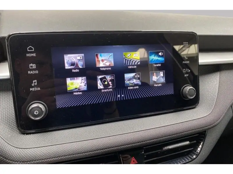 Occasion Skoda Fabia Selection GREY 26