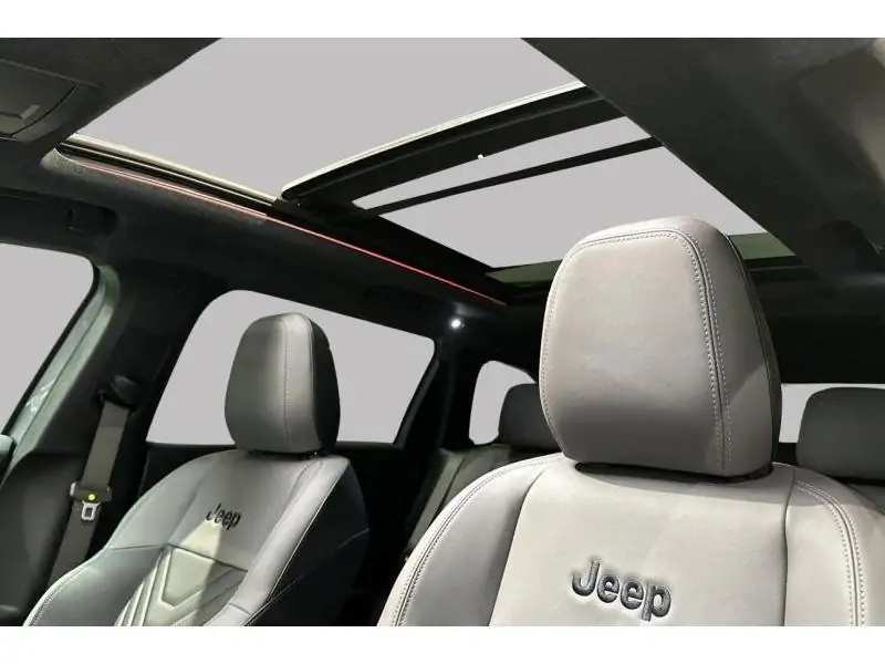 VEHICLE__CONDITION_SERVICE Jeep Compass FIRST EDITION GREY 24