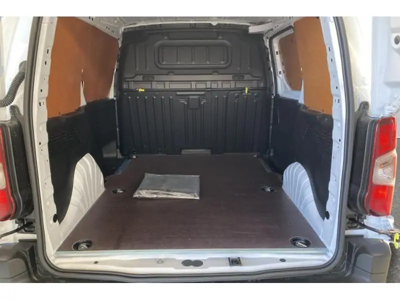 VEHICLE__CONDITION_SERVICE Fiat Doblo VAN L1 LIGHT WHITE 19