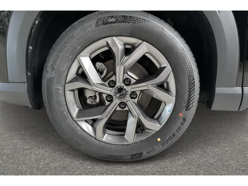 VEHICLE__CONDITION_SERVICE BYD ATTO 2 ACTIVE BLACK 20