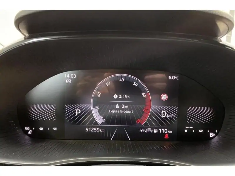 Occasion Skoda Fabia Selection 1.0 TSI DSG GREY 25