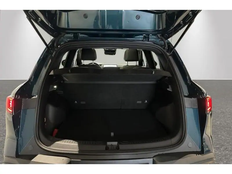 VEHICLE__CONDITION_SERVICE BYD ATTO 2 DM-Boost BLUE 19