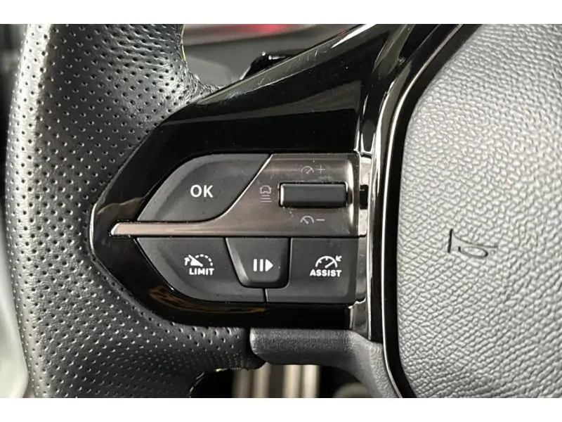 Occasion Peugeot 308 SW GT - AGR - 360° - Trekhaak WHITE 22