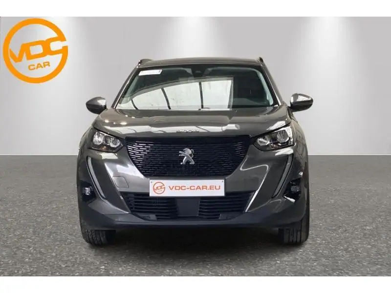 Occasion Peugeot 2008 Style *GPS- DAB -Caméra* * GREY 6