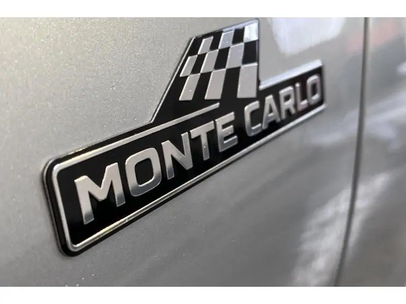 Occasion Skoda Fabia Monte Carlo GREY 21