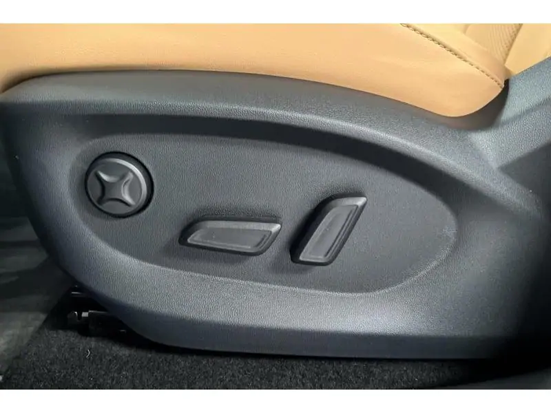 VEHICLE__CONDITION_SERVICE MG HS HEV LUXURY BLACK 21