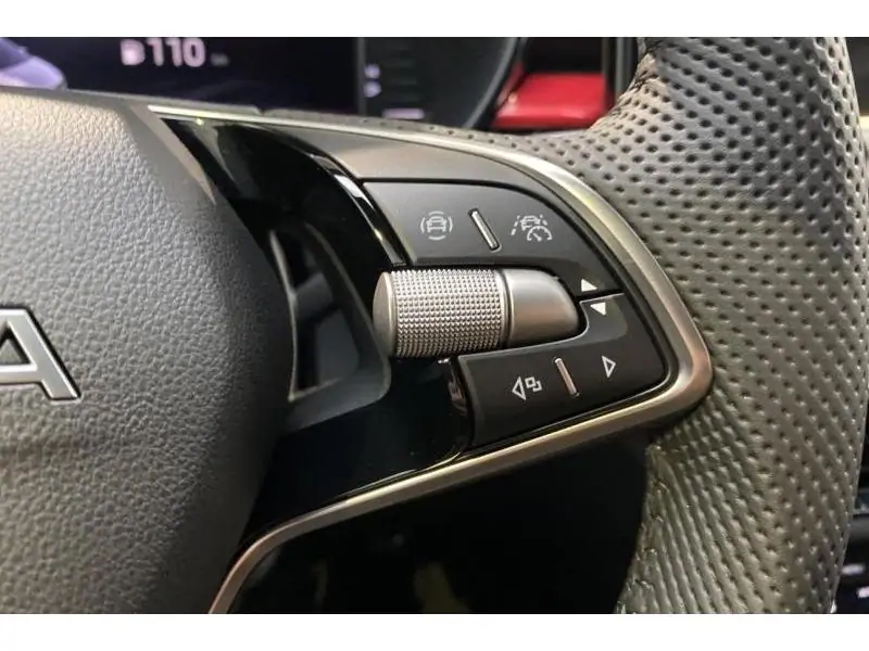 Occasion Skoda Fabia Monte Carlo GREY 24