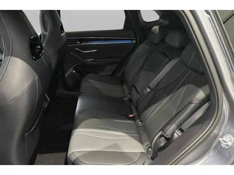 VEHICLE__CONDITION_SERVICE BYD SEAL U Design GREY 18