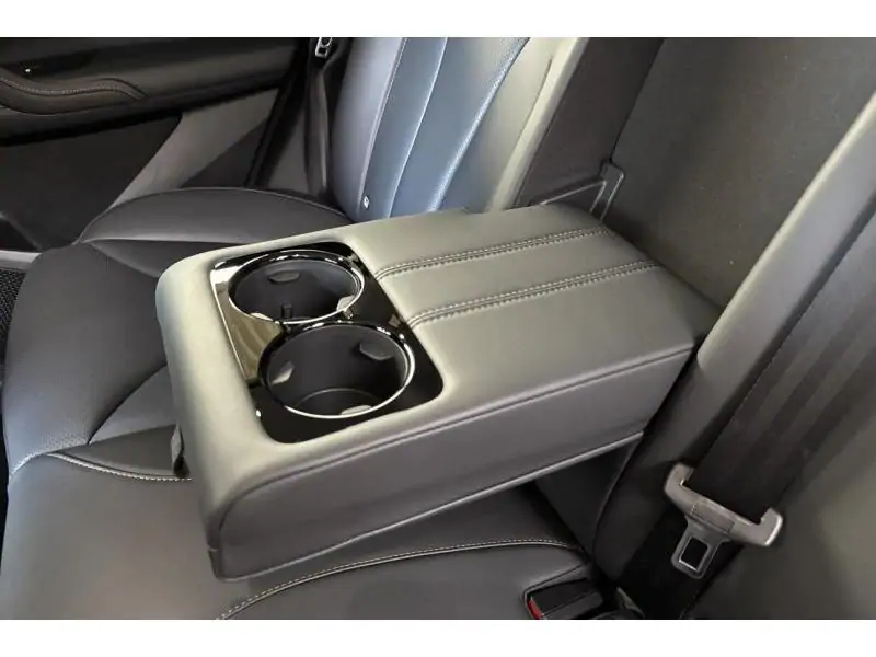 VEHICLE__CONDITION_SERVICE MG HS LUXURY HYBRID+ SILVER 21