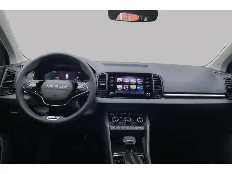Occasion Skoda Karoq Selection*Navi Détecteurs GREY 11