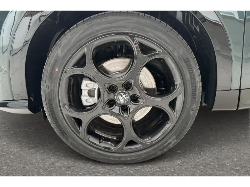VEHICLE__CONDITION_SERVICE Alfa Romeo Tonale Ibrida 1.5 175 Pk GREEN 20