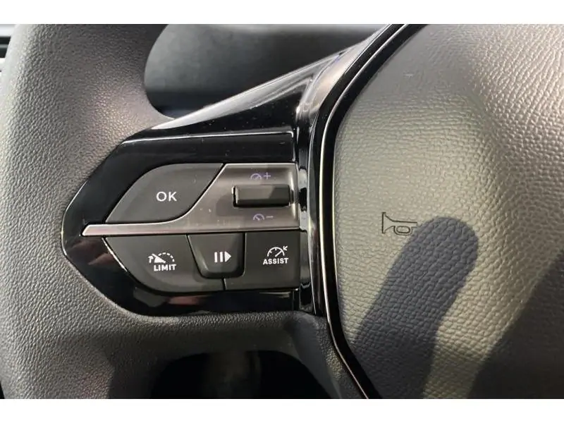 Démo Peugeot Partner STANDARD Heavy 50 KWh*0km GREY 21