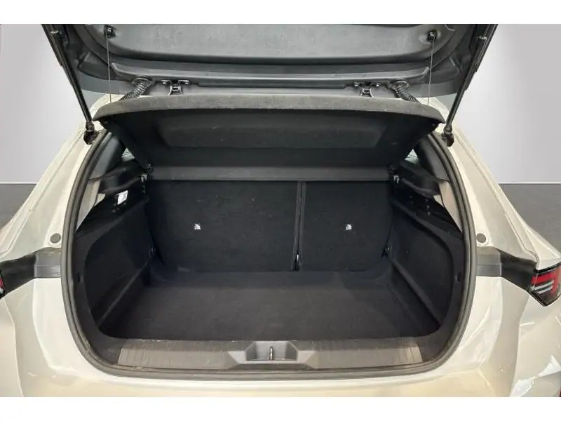 VEHICLE__CONDITION_SERVICE Opel Astra EDITION*GPS* WHITE 19