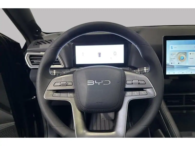 VEHICLE__CONDITION_SERVICE BYD ATTO 2 ACTIVE BLACK 12