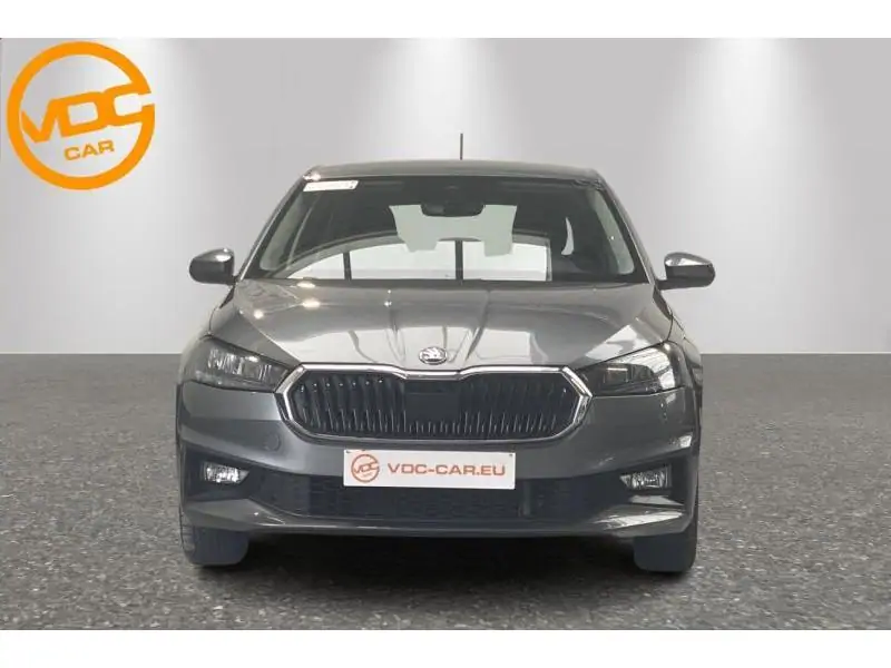 Occasion Skoda Fabia Selection GREY 5