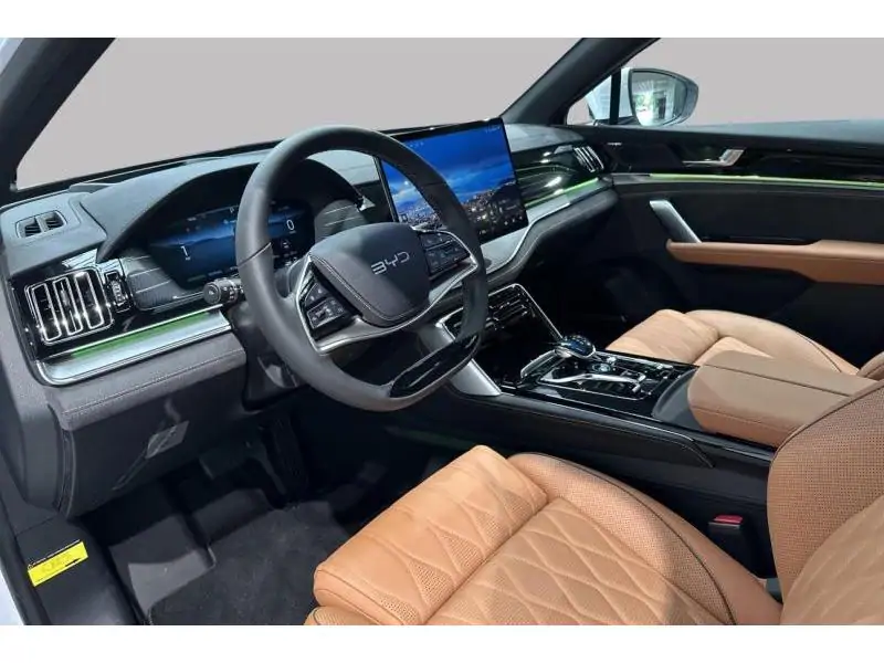 VEHICLE__CONDITION_SERVICE BYD TANG AWD 7 SEAT  vrij 30/01/26 WHITE 9