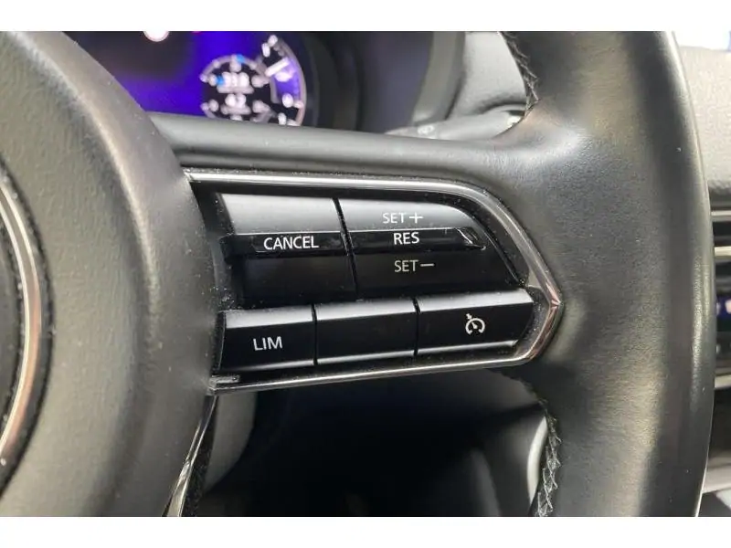 Occasion Mazda CX-60 SKYACTIV BLACK 28