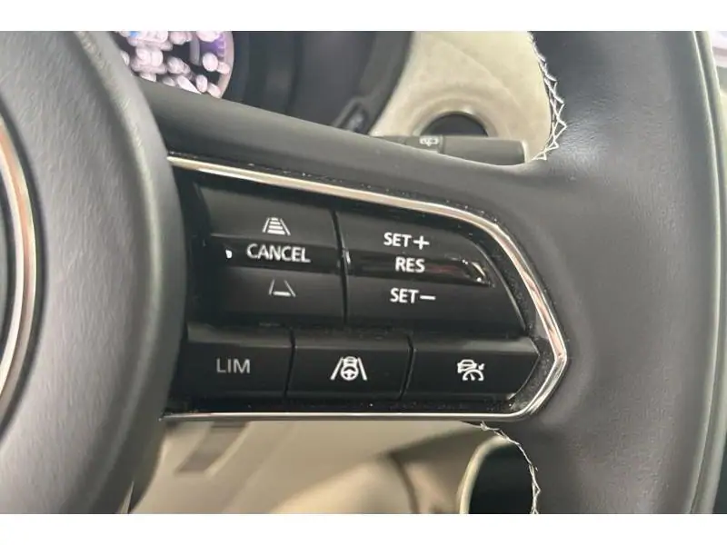 Occasion Mazda CX-60 HOMURA RED 23