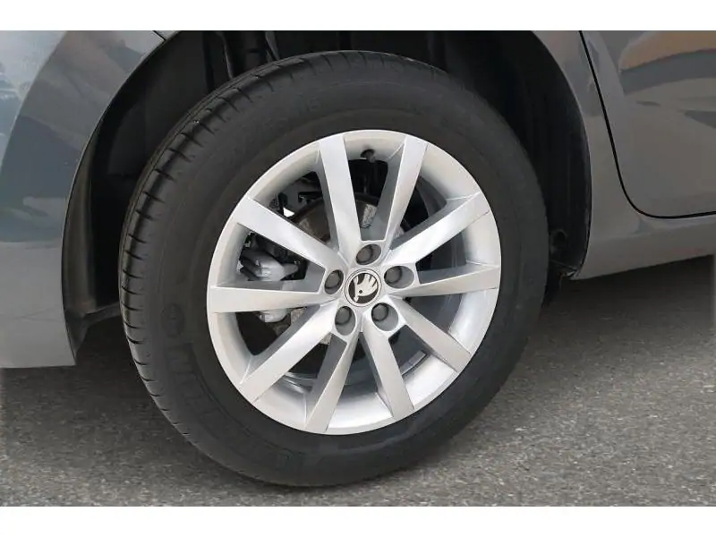 Occasion Skoda Scala Ambition GREY 20