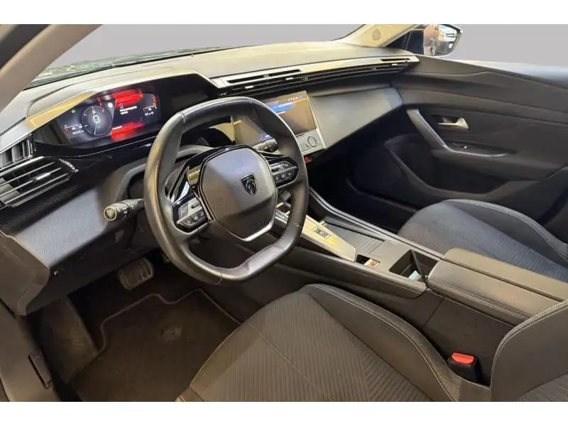 Occasion Peugeot 308 ACTIVE GREEN 9