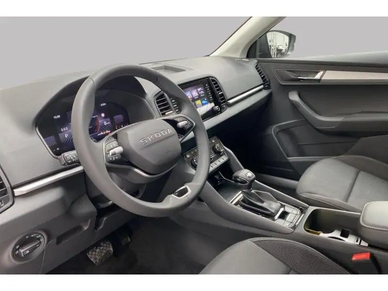 Occasion Skoda Karoq Selection*Navi Détecteurs GREY 9