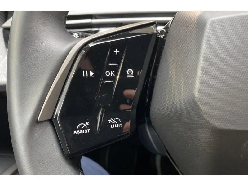 Occasion Peugeot 3008 Allure GREY 21