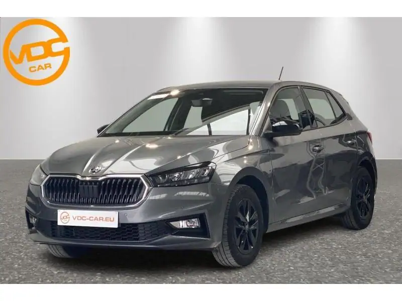 Occasion Skoda Fabia Selection GREY 1