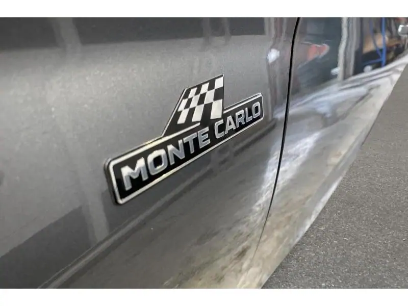 Occasion Skoda Fabia Monte Carlo GREY 28