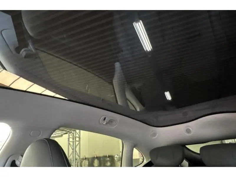 Occasion MG IM 6 100 kWh Performance AWD GREY 31