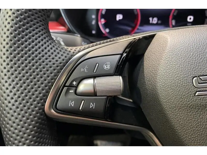 Occasion Skoda Fabia Monte Carlo GREY 22