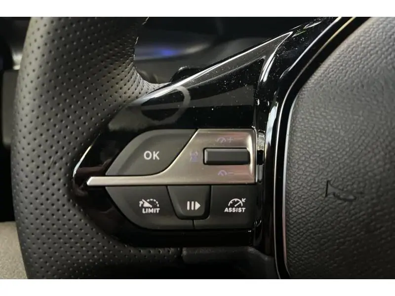 VEHICLE__CONDITION_SERVICE Peugeot 308 SW GT BLUE 29